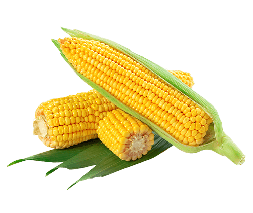 Fruti-mas - frutas, verduras y abarrotes